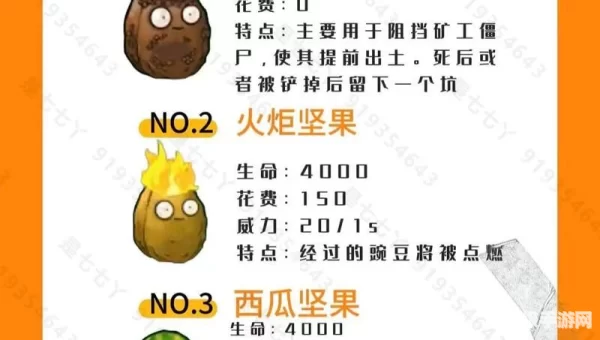 植物大战僵尸攻略图