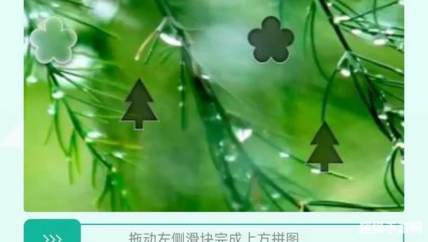 大麦网抢票