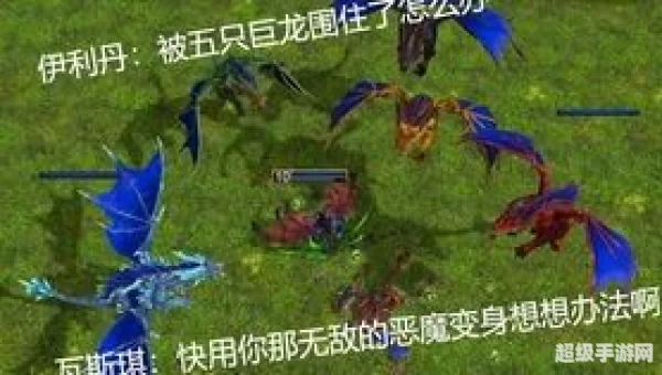 净化斯坦索姆